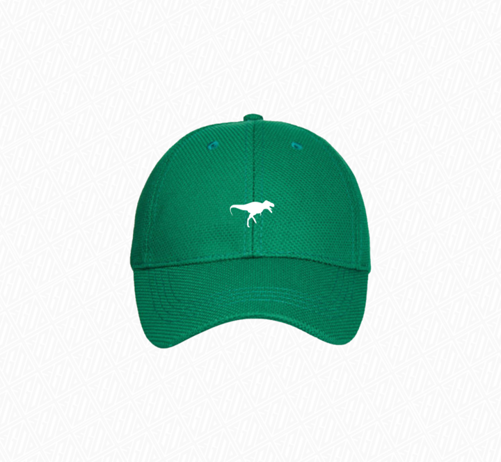 S.G.O.D DOMINATION CLASSIC CAPS
