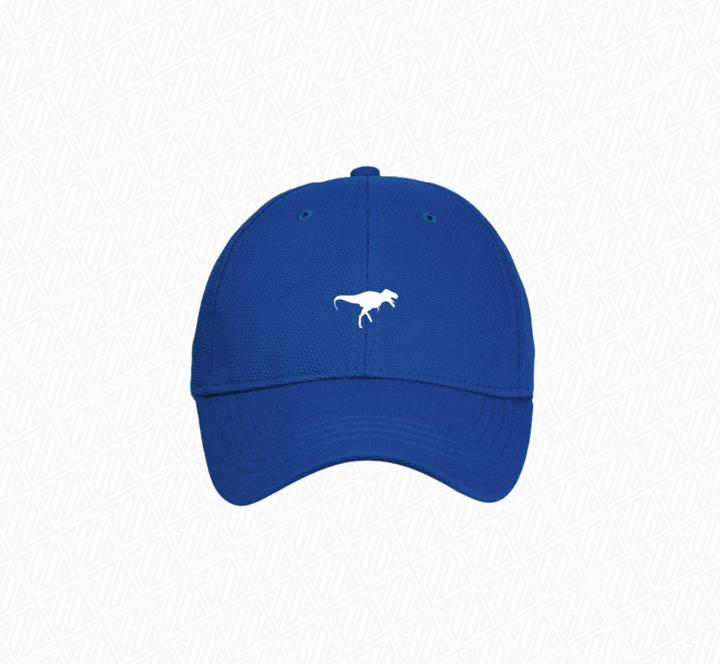 S.G.O.D DOMINATION CLASSIC CAPS